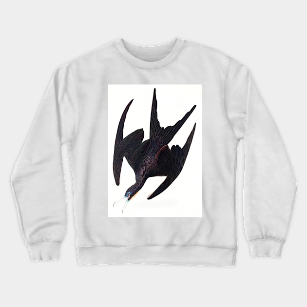 Frigate Pelican from Birds of America (1827) Crewneck Sweatshirt by WAITE-SMITH VINTAGE ART